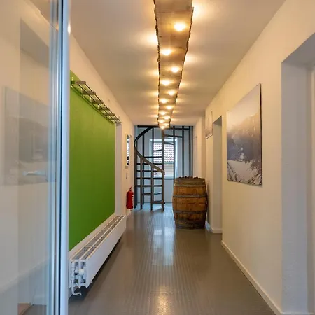 The Alps By In One Apartment *